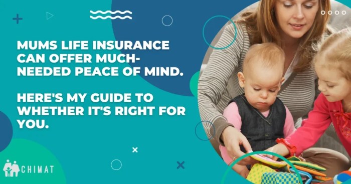 Affordable Life Insurance For Mums Cover In 2025 Affordable Life Insurance For Mums Cover In 2025