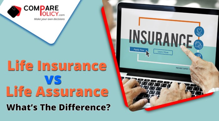 What's the difference between life insurance and life assurance? What's the difference between life insurance and life assurance?