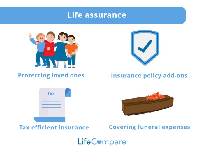 Term vs Permanent Life Insurance Term vs Permanent Life Insurance