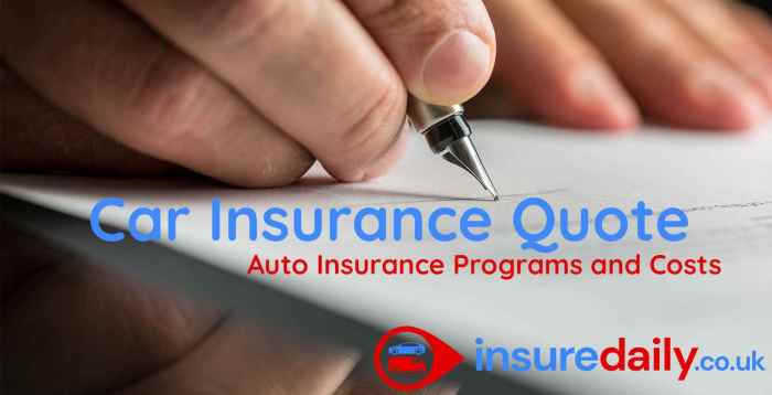 Car Insurance Quote: Auto Insurance Programs and Costs Car Insurance Quote: Auto Insurance Programs and Costs