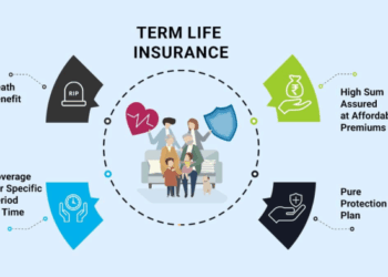 Term Life Insurance: The Only Guide You Need - Wealth Nation