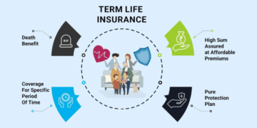 Term Life Insurance: The Only Guide You Need - Wealth Nation