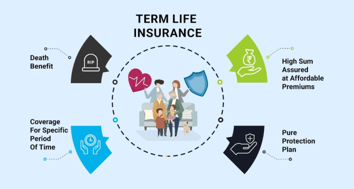 Term Life Insurance: The Only Guide You Need - Wealth Nation