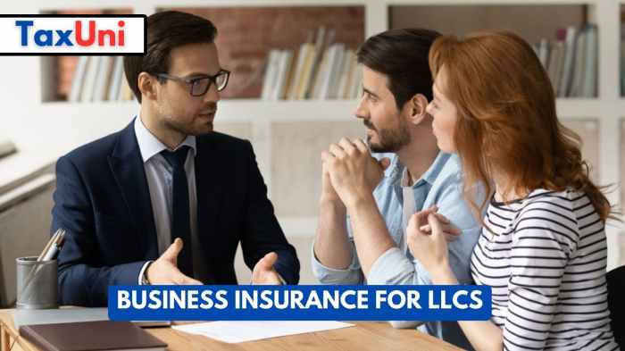 Business Insurance For LLCs