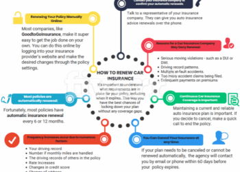 Remember these things when renewing your insurance policy: | Seguros ...