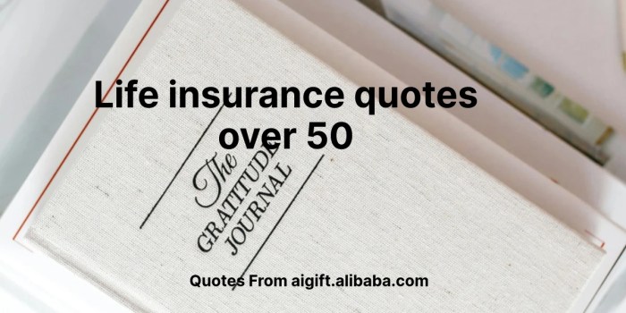 100+ Essential Life Insurance Quotes for Individuals Over 50