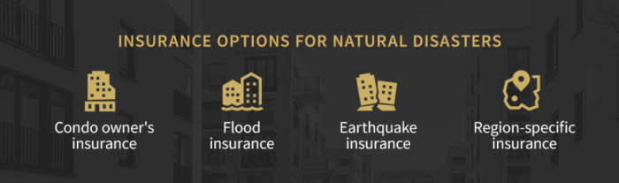 Guide for Insuring Your Condominium From Natural Disasters