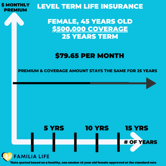 Everything about Term Life Insurance - Familia Life