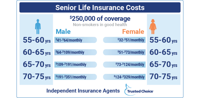 Over 50s LIfe insurance Infographic | PPT