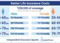 Over 50s LIfe insurance Infographic | PPT