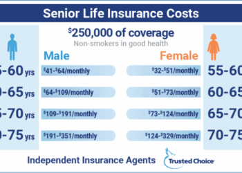 Over 50s LIfe insurance Infographic | PPT